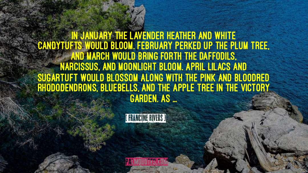 Francine Rivers Quotes: In January the lavender heather