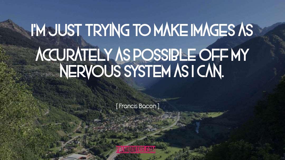Francis Bacon Quotes: I'm just trying to make