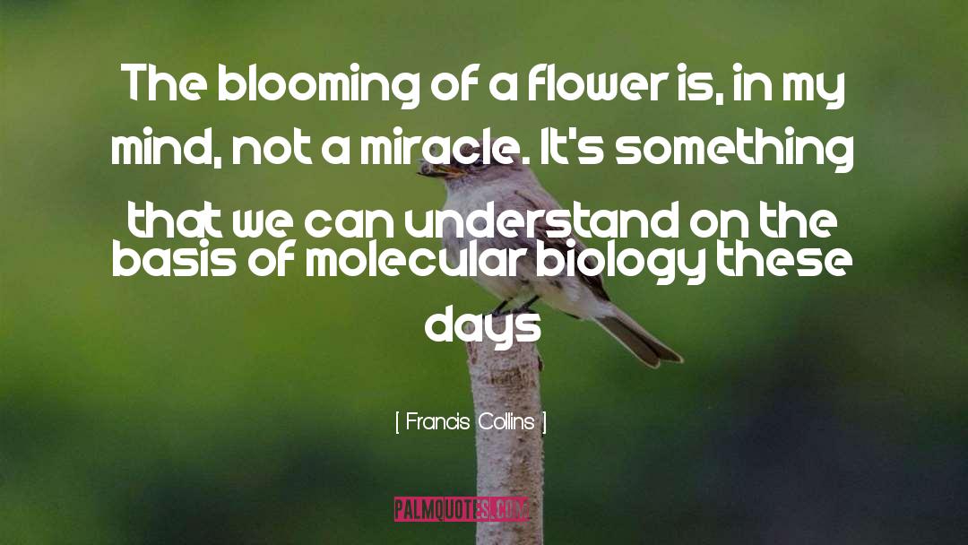 Francis Collins Quotes: The blooming of a flower