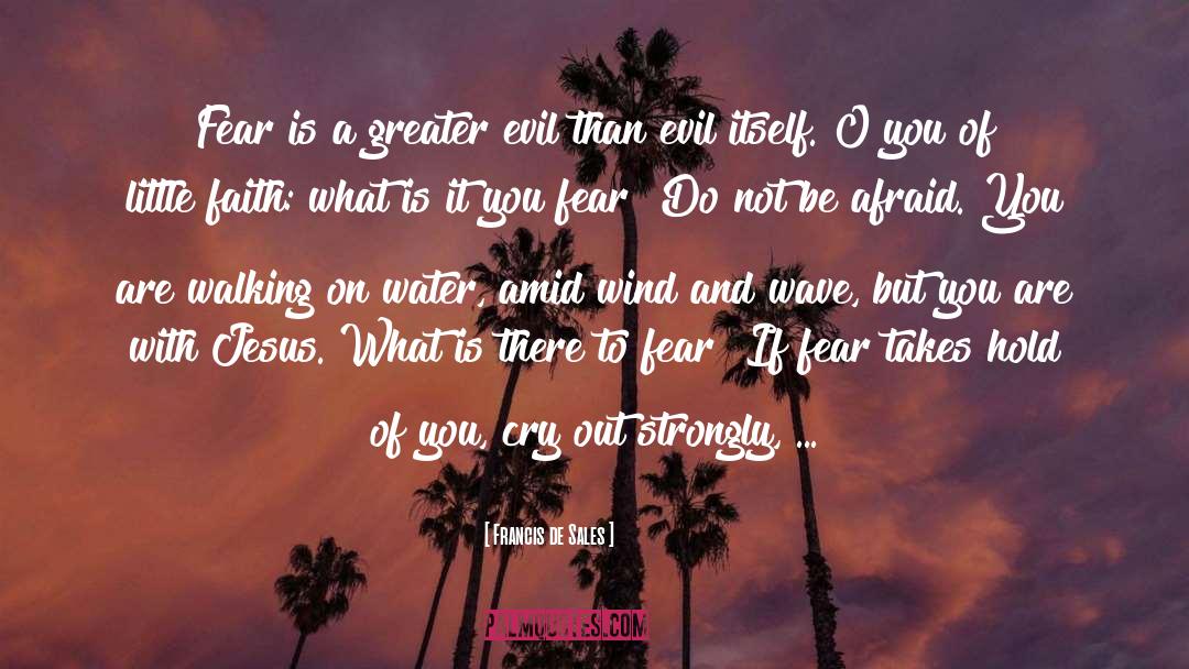 Francis De Sales Quotes: Fear is a greater evil