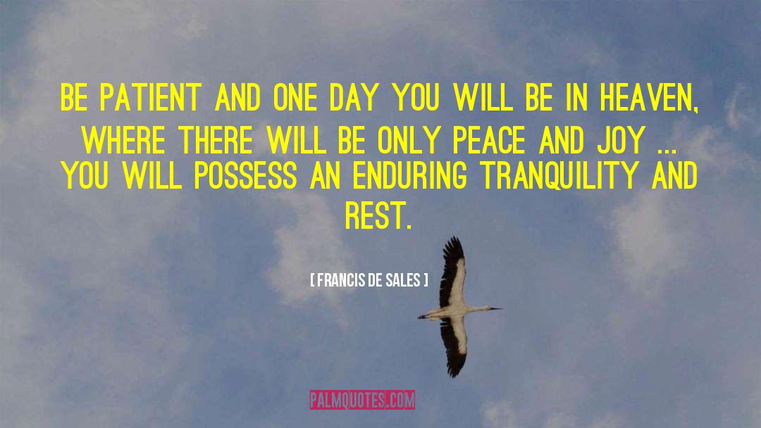 Francis De Sales Quotes: Be patient and one day