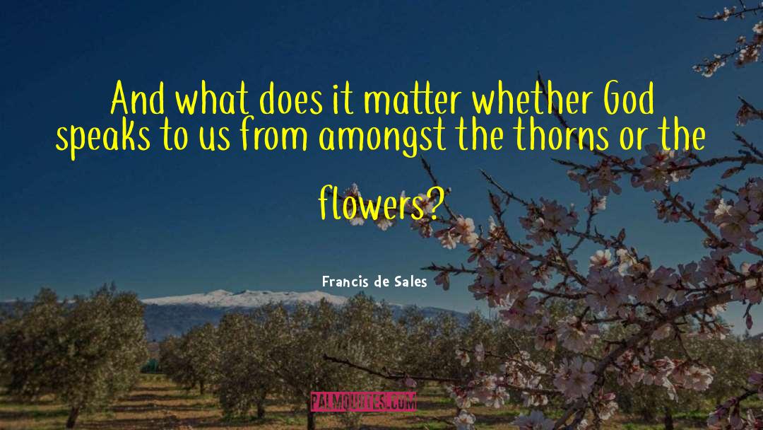 Francis De Sales Quotes: And what does it matter