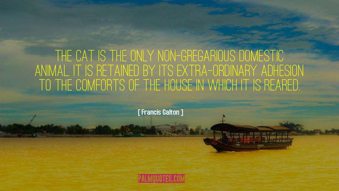 Francis Galton Quotes: The cat is the only