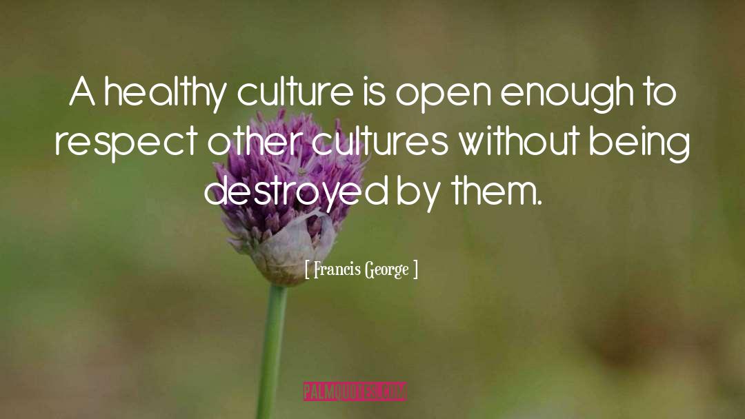 Francis George Quotes: A healthy culture is open