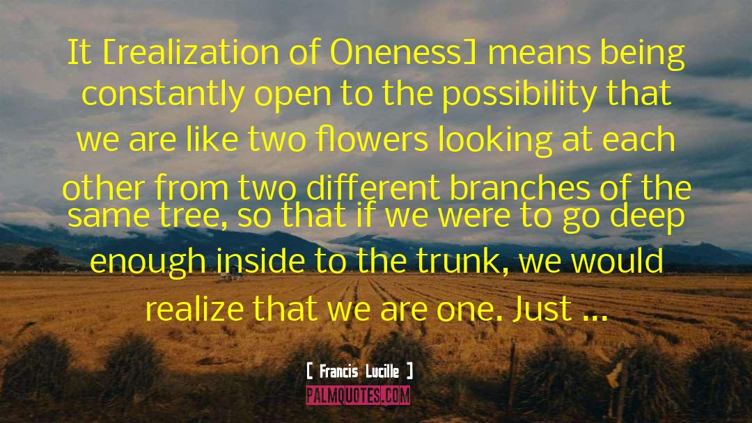 Francis Lucille Quotes: It [realization of Oneness] means