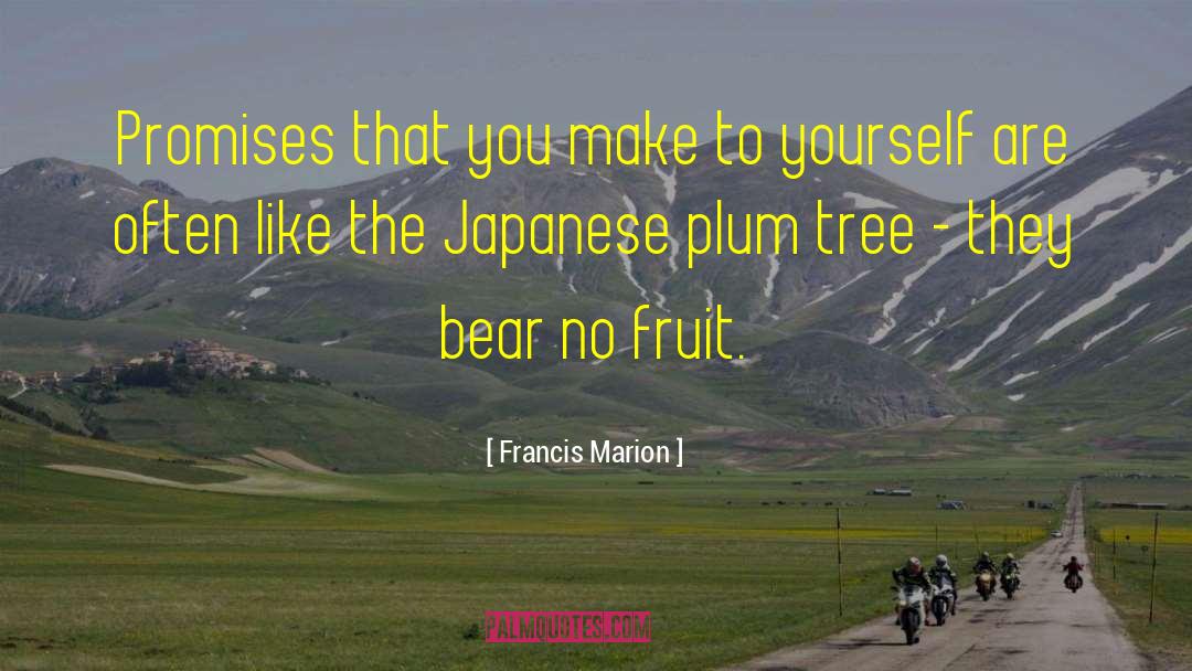 Francis Marion Quotes: Promises that you make to