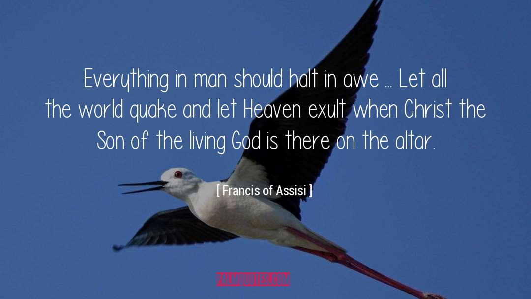 Francis Of Assisi Quotes: Everything in man should halt