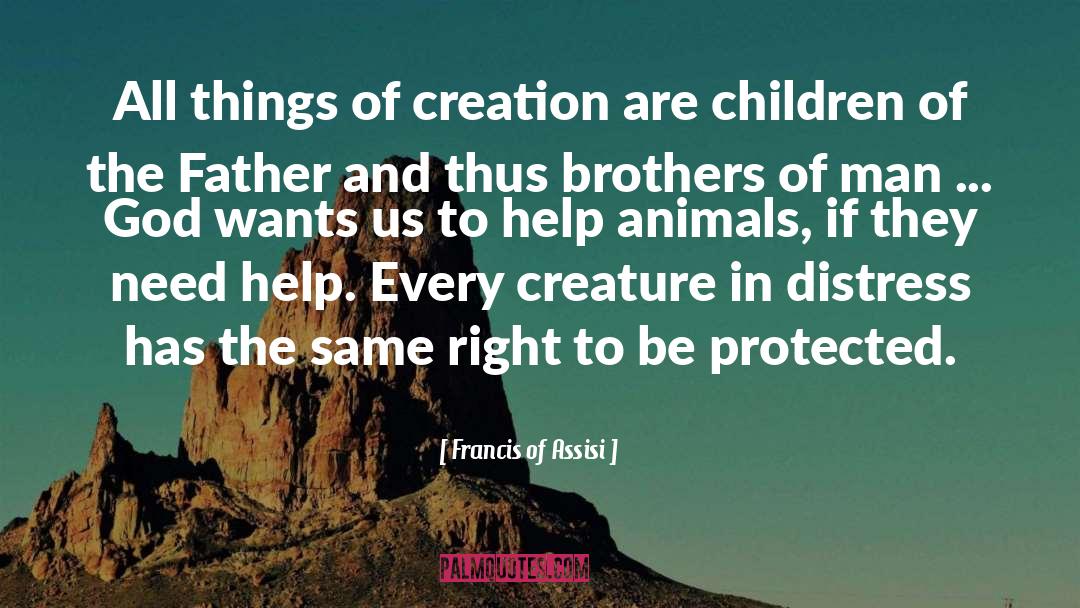 Francis Of Assisi Quotes: All things of creation are