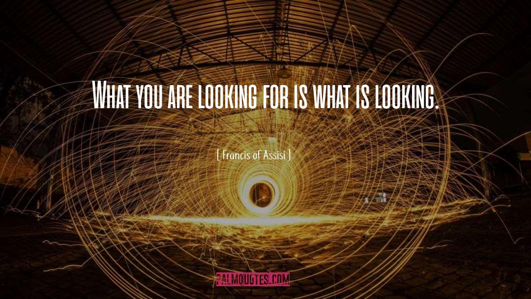 Francis Of Assisi Quotes: What you are looking for