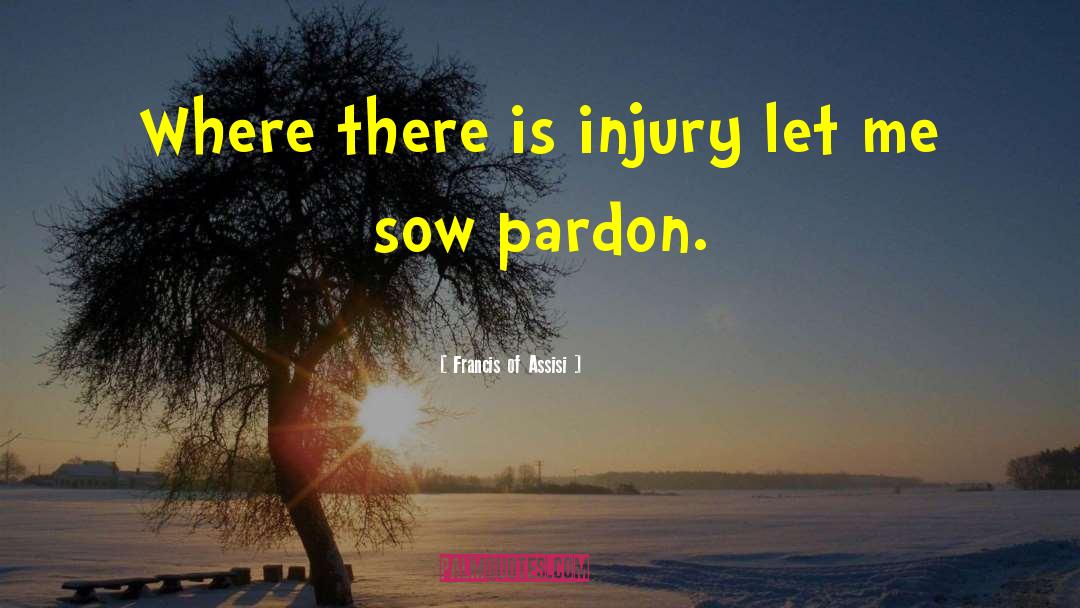 Francis Of Assisi Quotes: Where there is injury let