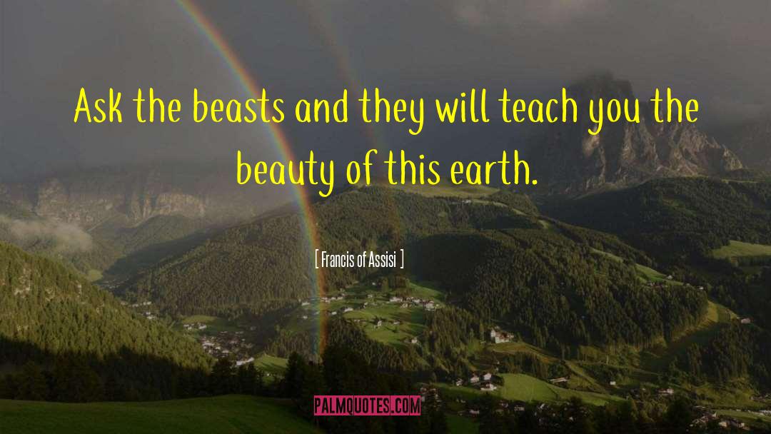 Francis Of Assisi Quotes: Ask the beasts and they
