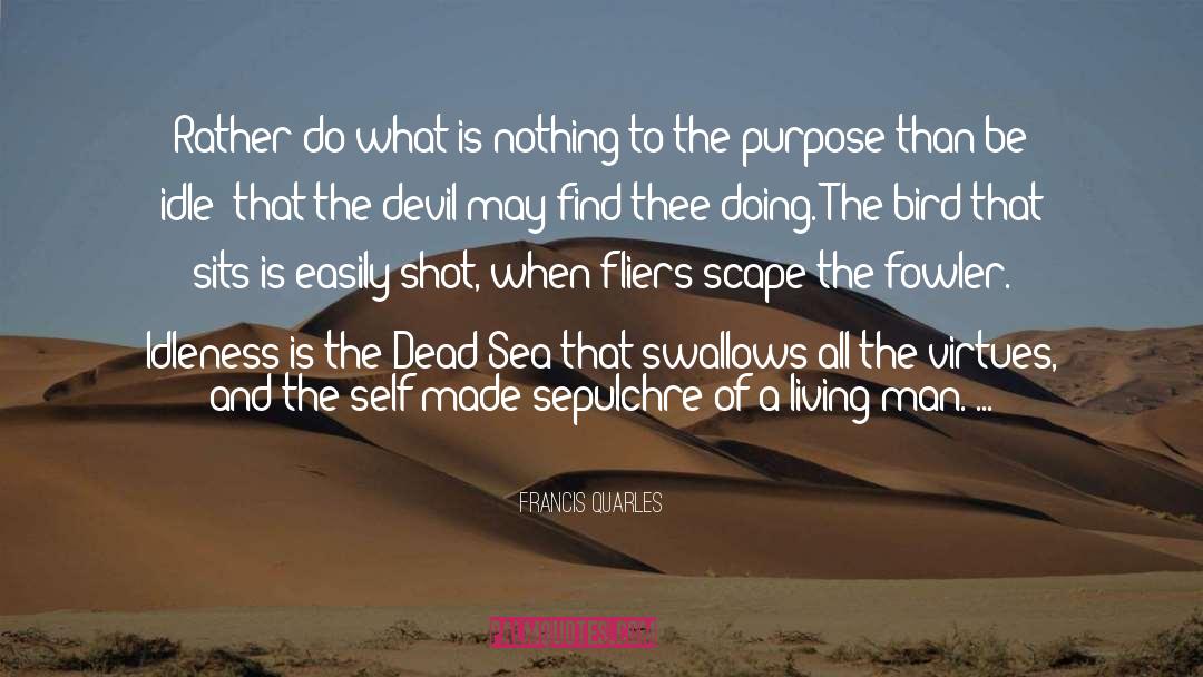 Francis Quarles Quotes: Rather do what is nothing