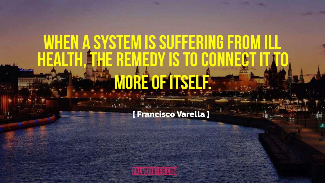 Francisco Varella Quotes: When a system is suffering