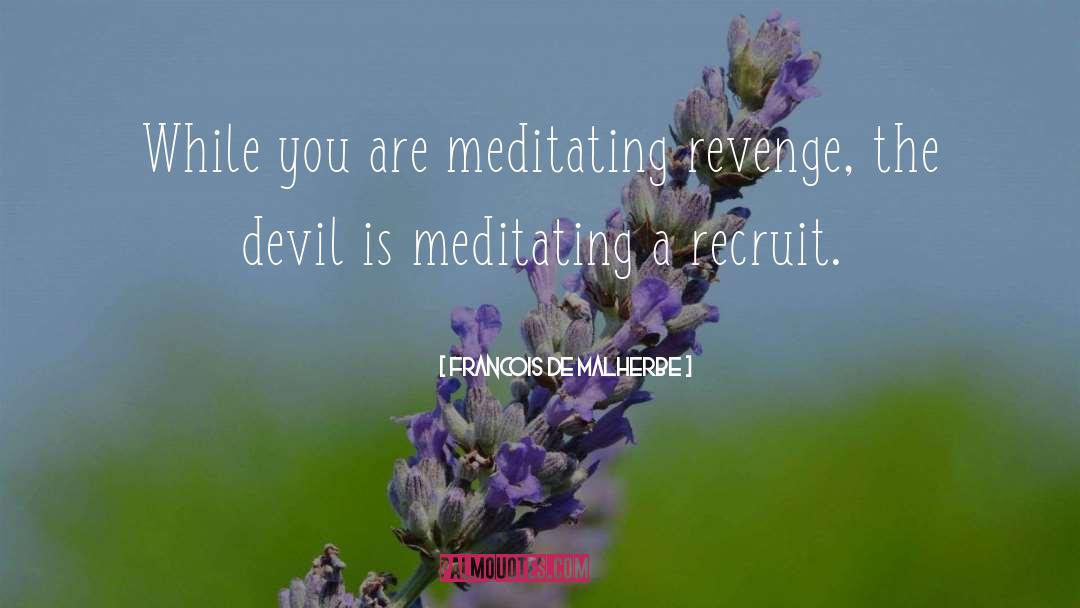 Francois De Malherbe Quotes: While you are meditating revenge,