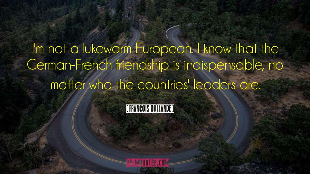 Francois Hollande Quotes: I'm not a lukewarm European.