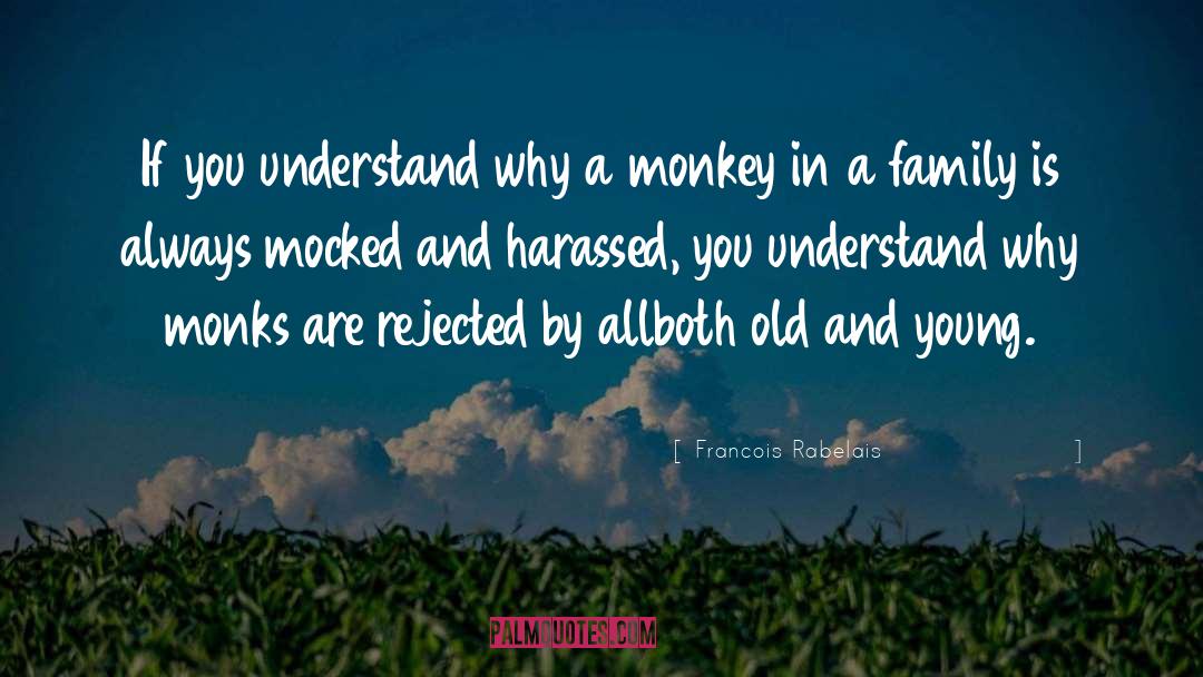 Francois Rabelais Quotes: If you understand why a