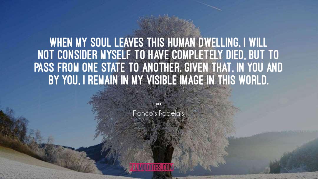 Francois Rabelais Quotes: When my soul leaves this