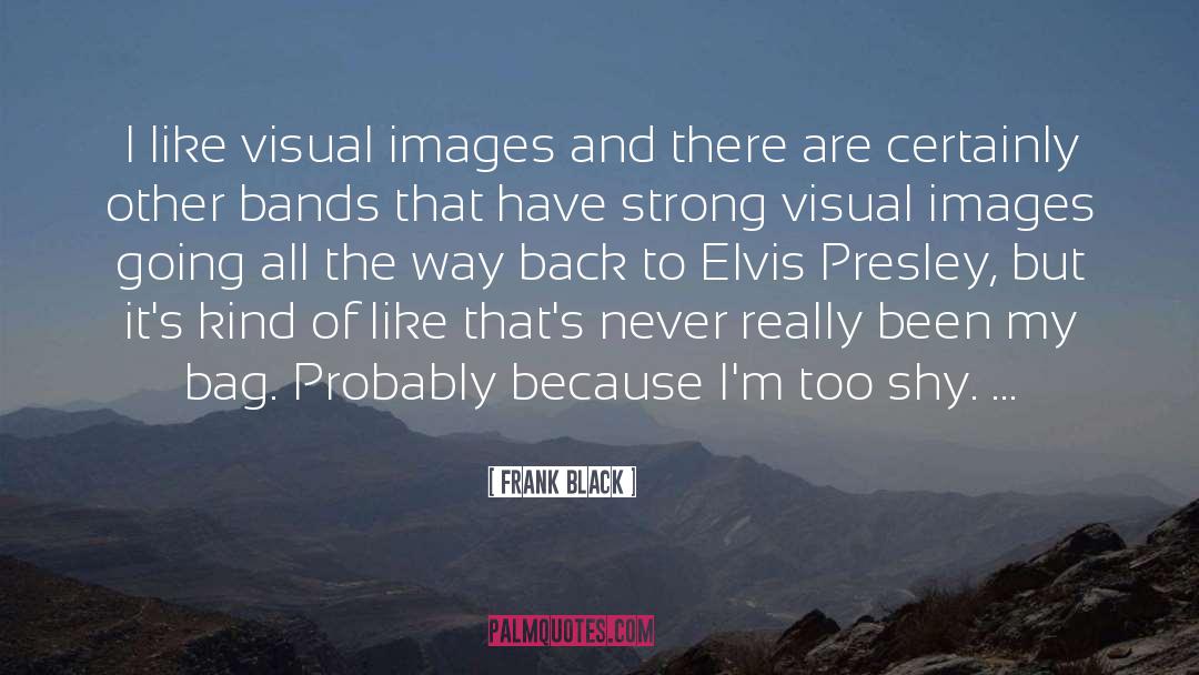 Frank Black Quotes: I like visual images and