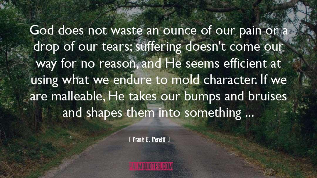 Frank E. Peretti Quotes: God does not waste an