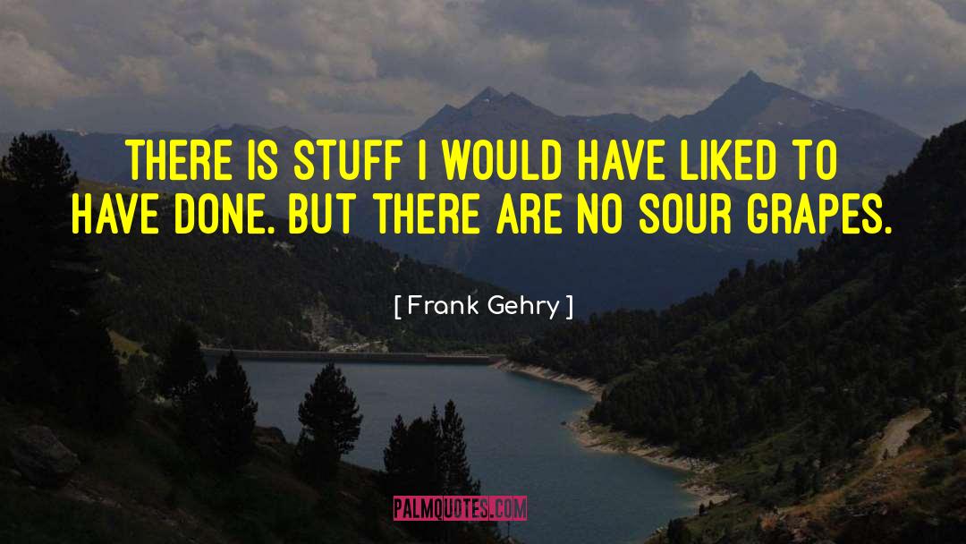 Frank Gehry Quotes: There is stuff I would
