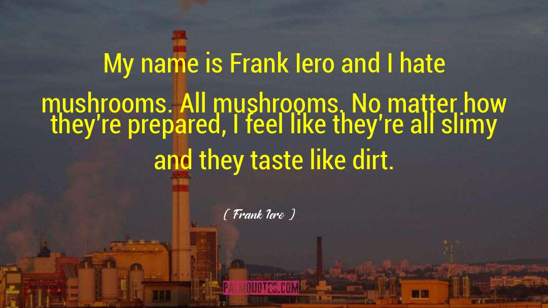 Frank Iero Quotes: My name is Frank Iero