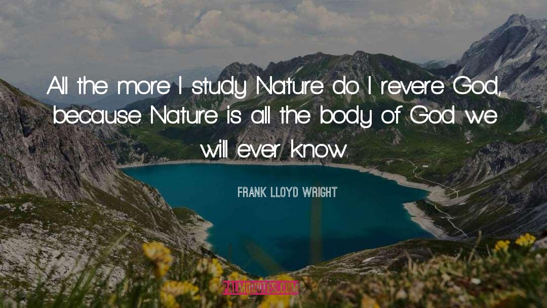 Frank Lloyd Wright Quotes: All the more I study