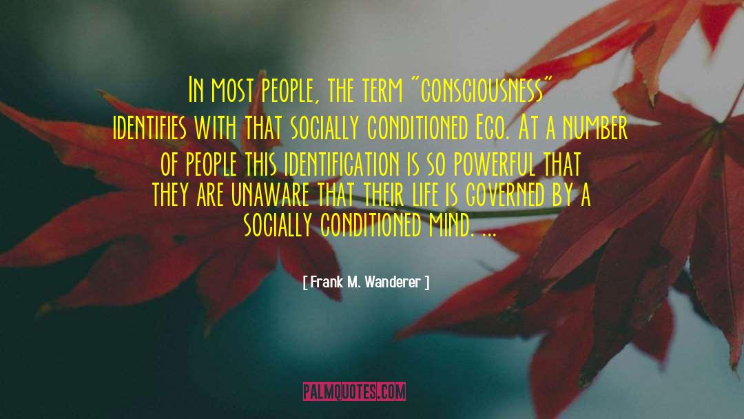 Frank M. Wanderer Quotes: In most people, the term