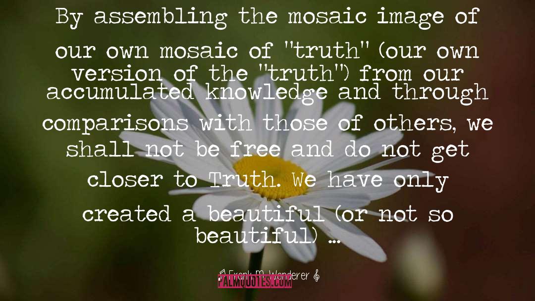 Frank M. Wanderer Quotes: By assembling the mosaic image