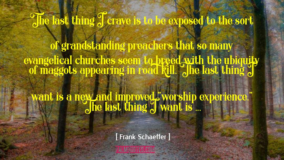 Frank Schaeffer Quotes: The last thing I crave