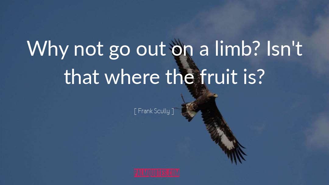 Frank Scully Quotes: Why not go out on