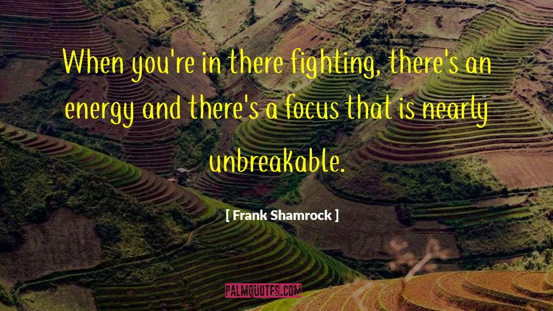 Frank Shamrock Quotes: When you're in there fighting,