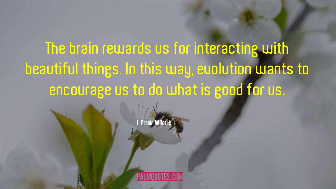 Frank Wilczek Quotes: The brain rewards us for