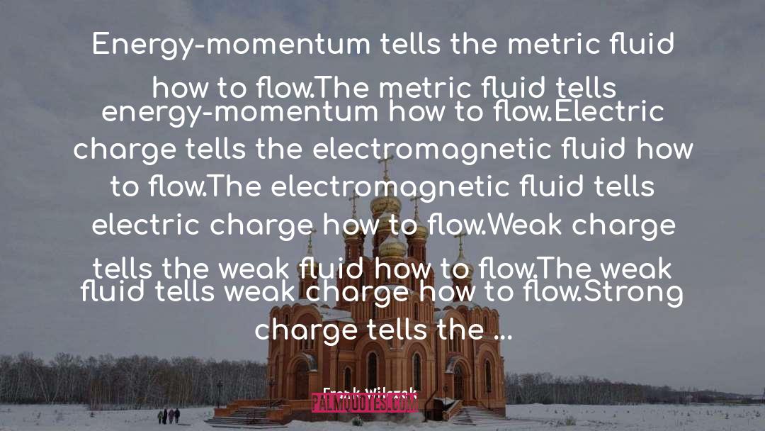 Frank Wilczek Quotes: Energy-momentum tells the metric fluid