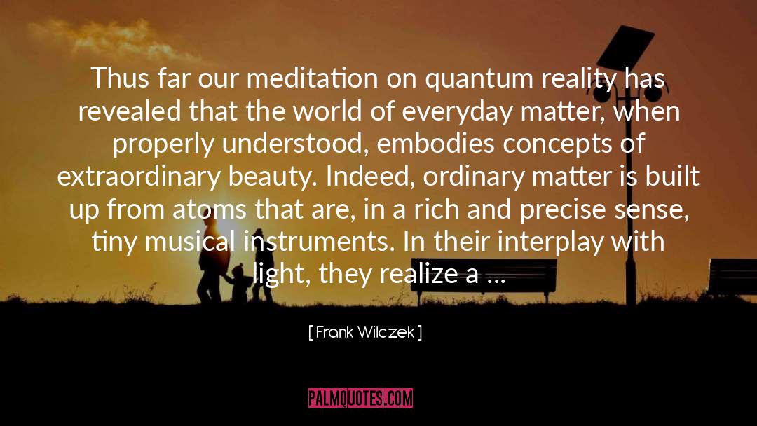 Frank Wilczek Quotes: Thus far our meditation on