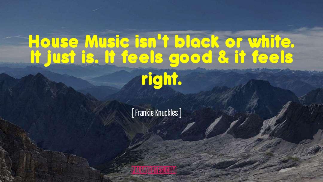 Frankie Knuckles Quotes: House Music isn't black or
