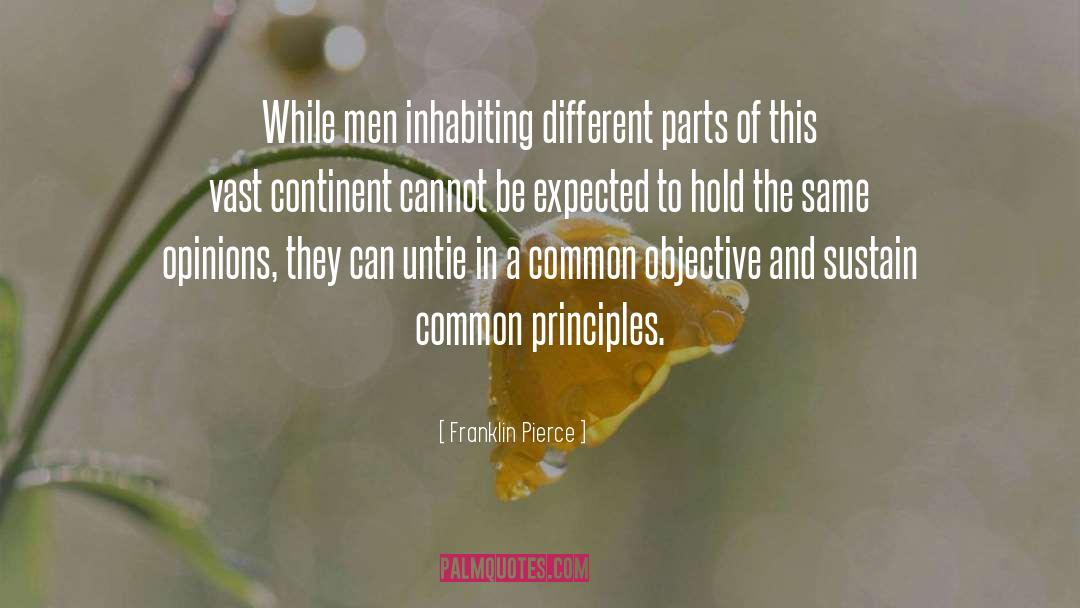 Franklin Pierce Quotes: While men inhabiting different parts