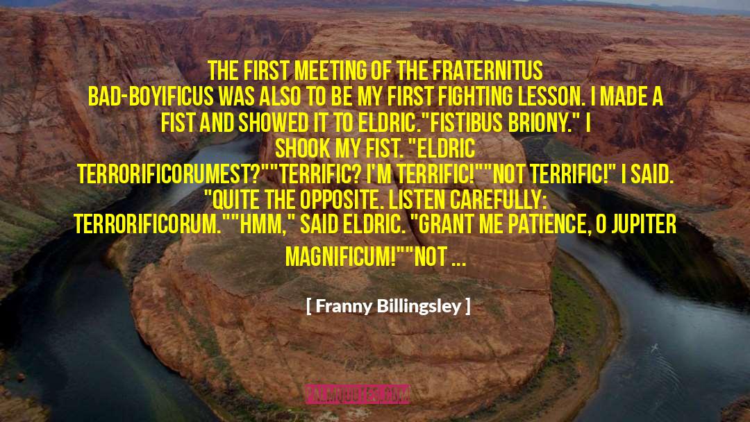Franny Billingsley Quotes: The first meeting of the