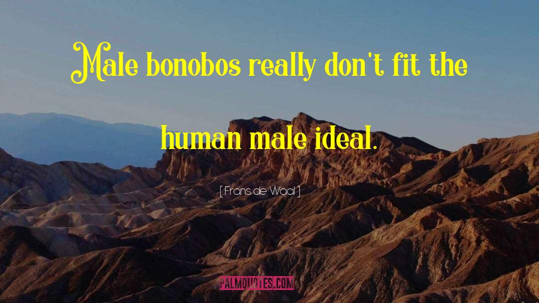 Frans De Waal Quotes: Male bonobos really don't fit