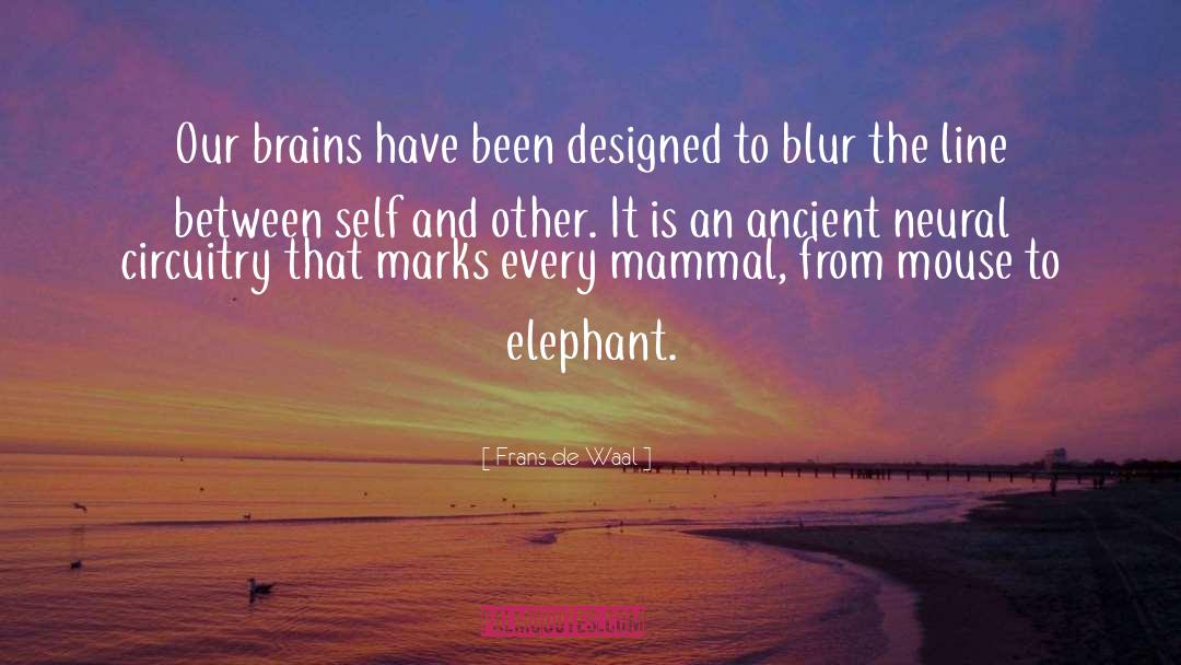 Frans De Waal Quotes: Our brains have been designed