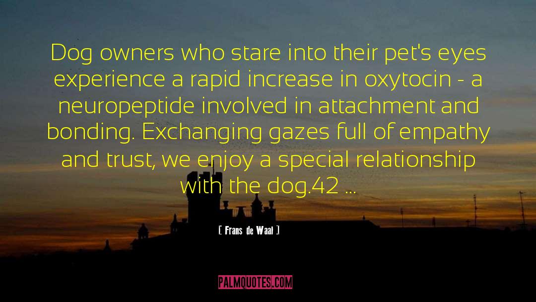 Frans De Waal Quotes: Dog owners who stare into