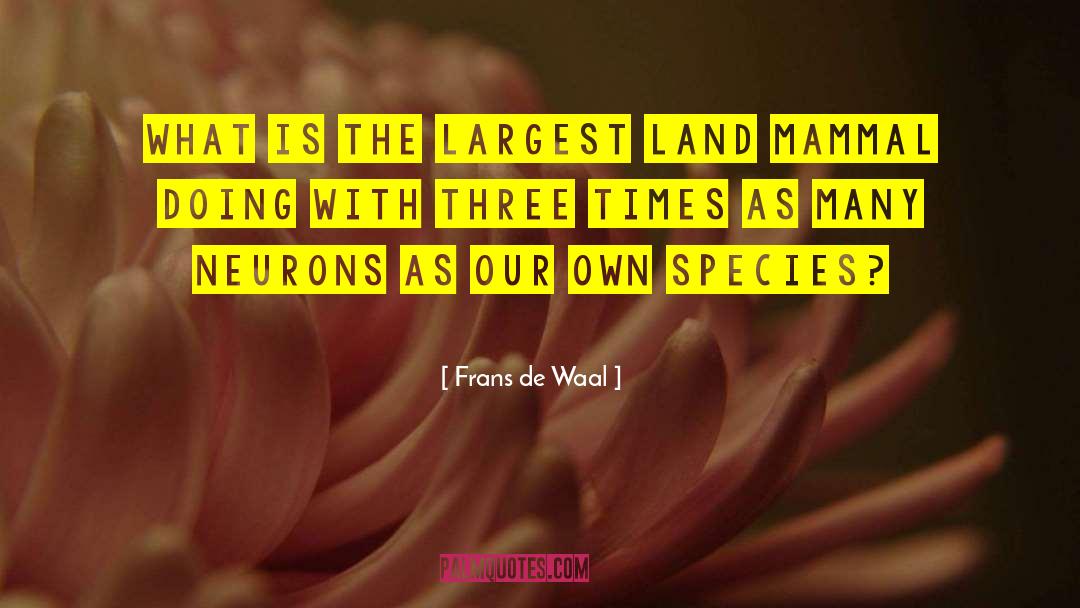 Frans De Waal Quotes: What is the largest land