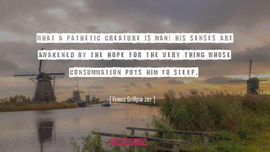 Franz Grillparzer Quotes: What a pathetic creature is