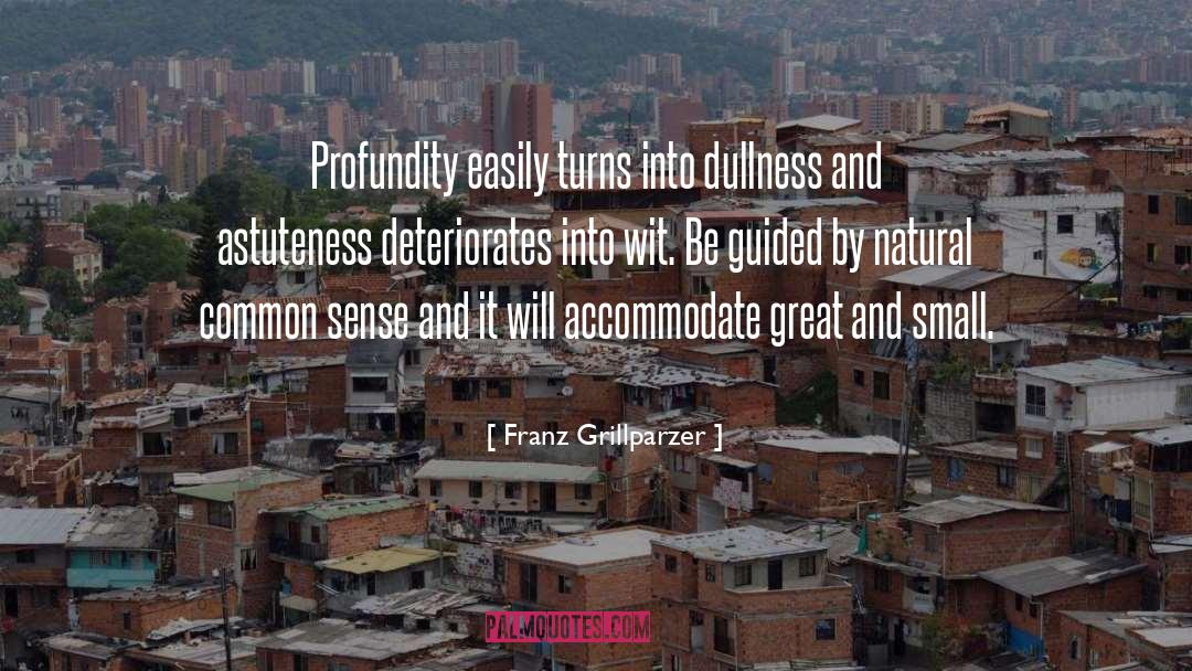 Franz Grillparzer Quotes: Profundity easily turns into dullness