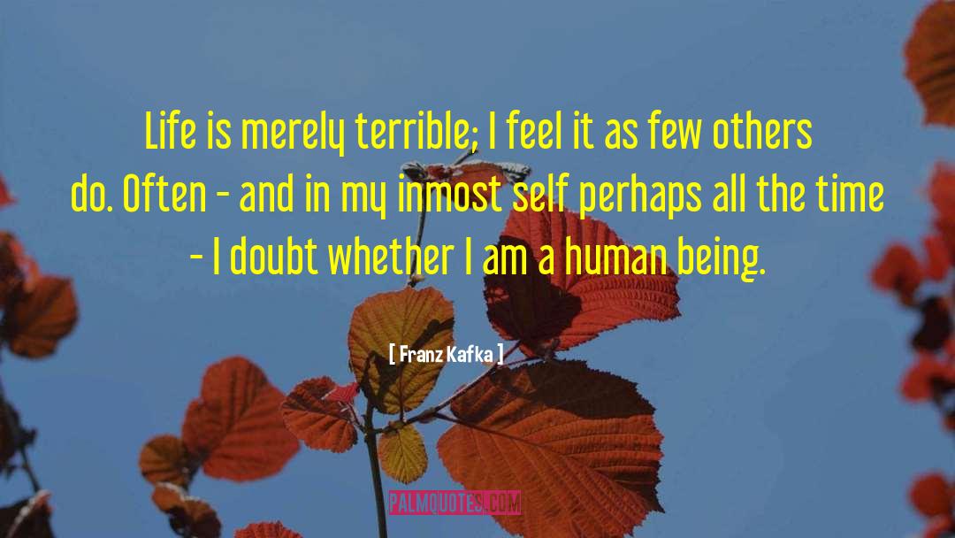Franz Kafka Quotes: Life is merely terrible; I