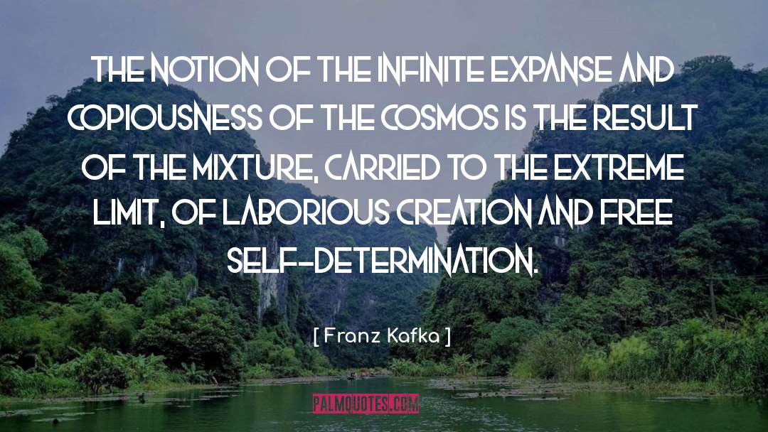 Franz Kafka Quotes: The notion of the infinite