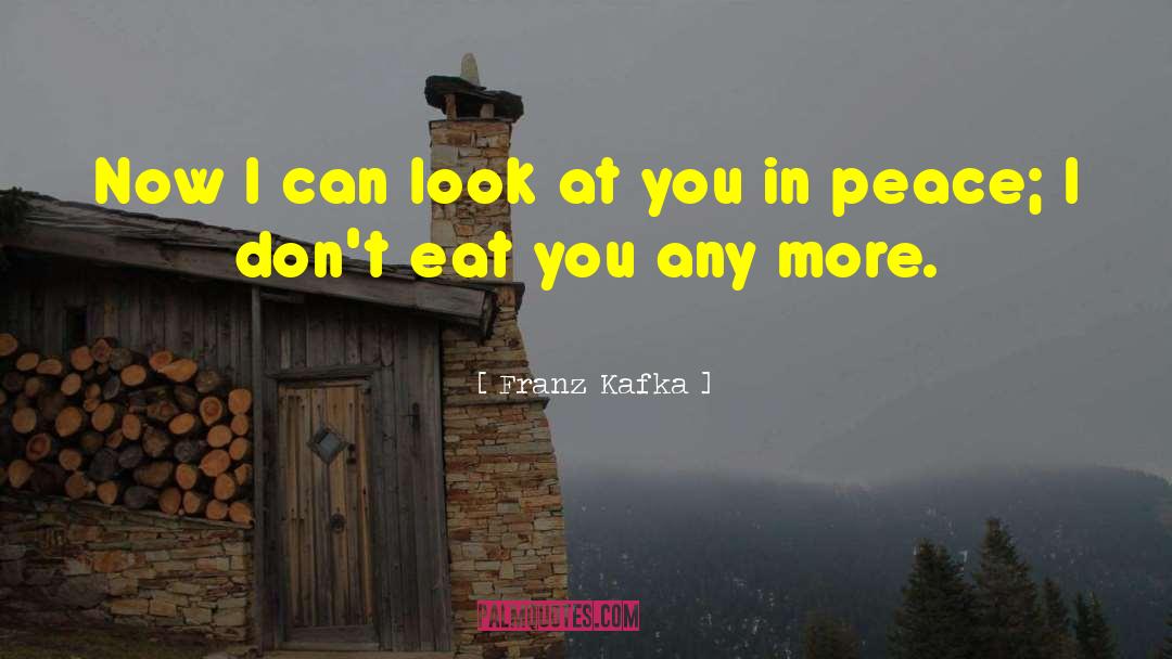 Franz Kafka Quotes: Now I can look at