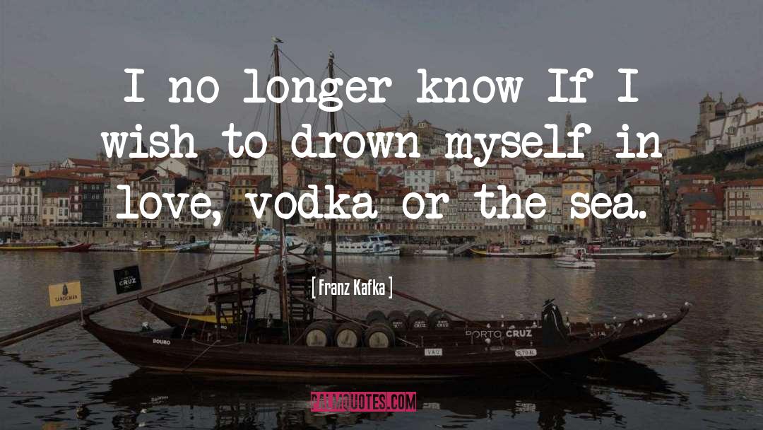Franz Kafka Quotes: I no longer know If