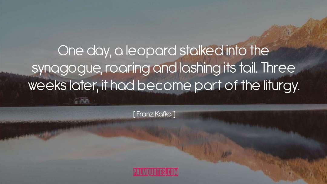 Franz Kafka Quotes: One day, a leopard stalked