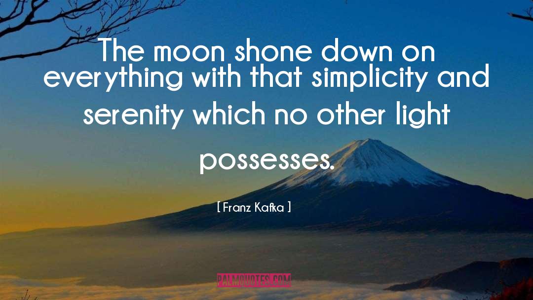 Franz Kafka Quotes: The moon shone down on