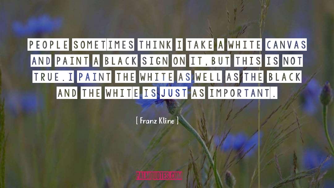 Franz Kline Quotes: People sometimes think I take